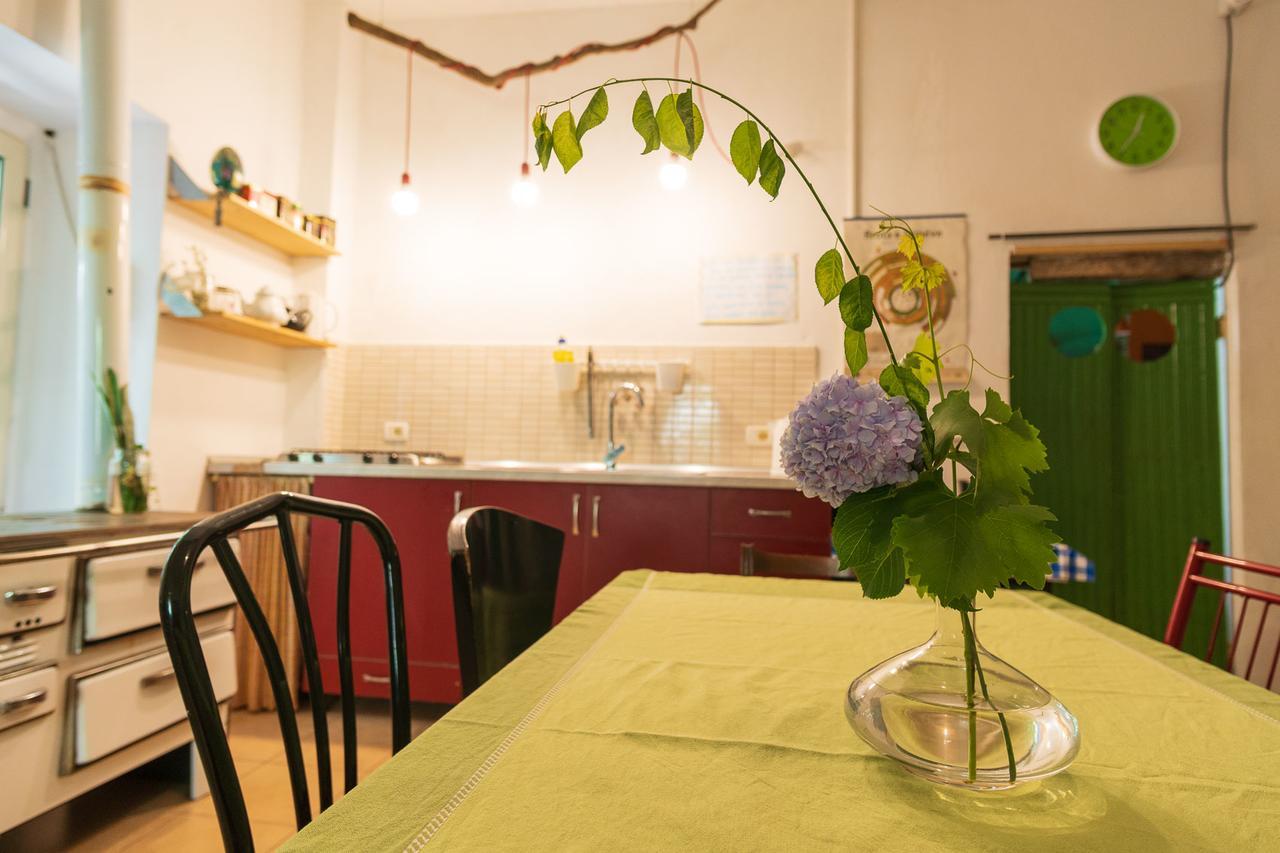 Mi Casa Es Tu Casa - Shkodra Backpackers Hostel Eksteriør bilde